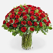 100 Elegant Roses