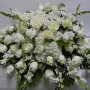 Whispers of white