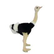 12.8″ Ostrich