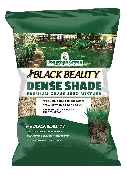 Black Beauty® Dense Shade Grass Seed