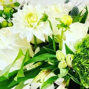 Designer's Choice in white
