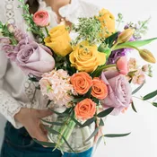 Spring Dopamine Small