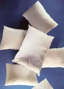 Celeste Industries TRPW11515B2 White Pillow 11.5 x 15 in