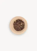 Asclepias speciosa - Showy Milkweed (Seed)
