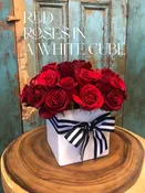 Red Roses in A White Cube — Tesoro Flowers