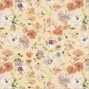 Bloomfield || Ranunculus || Blush