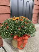 Autumn Mum in Basket — Sunset Gardens Greenhouse & Floral