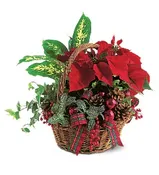 HOLIDAY PLANTER BASKET