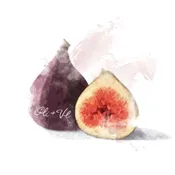 Fig