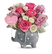 Teleflora's Hello Sweet Baby - Pink