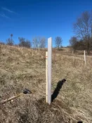5' Tree Tube with Stake Combo
