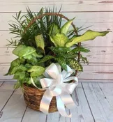 10" WICKER WITH BOW