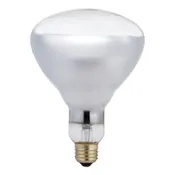 125 Watt Heat Bulb