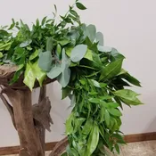 Cocculus, Eucalyptus & Italian Ruscus