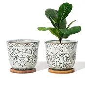 Plant My Escape!! # 1 (8 Potted Plants) — YELO APLE