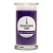 Bird of Paradise Candle (16 oz.)
