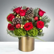 Rudolph’s Light By BloomNation™