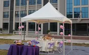 4M x 2.5M Pagoda Tent