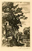 Trees Along the Huron River, Near Fries Landing, Ohio  / 1931