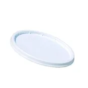 1 Gallon Plastic Bucket Lid