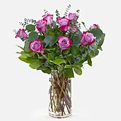 1-Dozen Deep Purple Roses