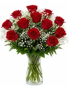 One Dozen Roses (Available in more colors)