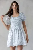 charlotte mini dress