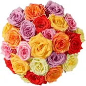 Bunte Rosenpracht