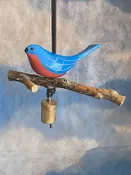 Eastern Bluebird