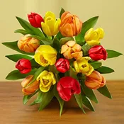 Birthday BR-A012