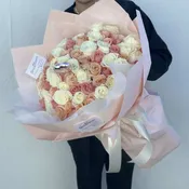 Pastel Dream