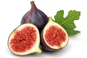 Black Jack Fig Tree