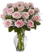 CHANTILLY PINK ROSES