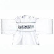 All Tied Up Women's Fancy Beaded Stock Tie
