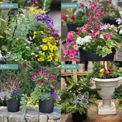 4-Seasons Drop-in Container Subscription: 2 Containers