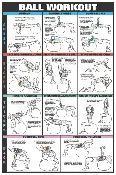 Algra Co-Ed Series Exercise Ball Chest, Biceps, Triceps, and Back Chart