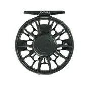 Animas Blackout