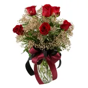 1/2 Dozen Roses Seminole Colors