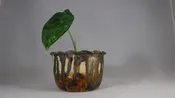 Small Planter