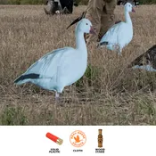 Pro Series II Snow Geese