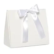 Peekaboo Tent Favor Boxes with Ribbon (50/Pack)