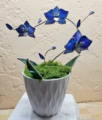 3D Orchid Workshop Saturday 10/17/26