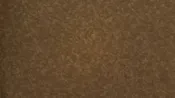 107/108" Cocoa 100% Cotton Blender - By The Yard