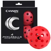 4-Pack Pickleballs with Carry Bag