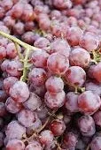 Canadice Grapevine