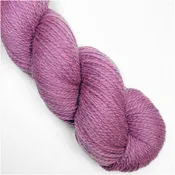 Orchid Heather - Scout