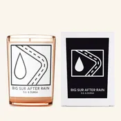 Big Sur After Rain Candle