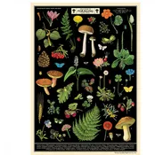 Field Guide to Foraging Poster