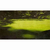 Bulk Rick’s Sun &amp; Shade Mix Grass Seed 1lb
