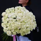 100 Roses - San Francisco